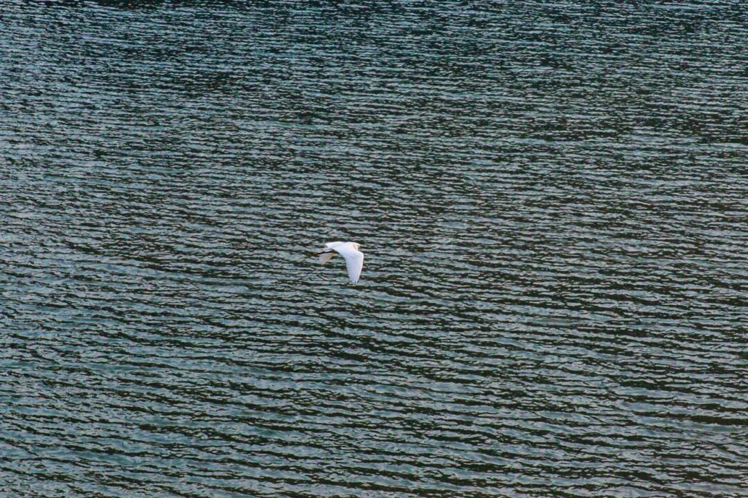 打卡重庆“醉美”夕阳，就在这条滨江步道！